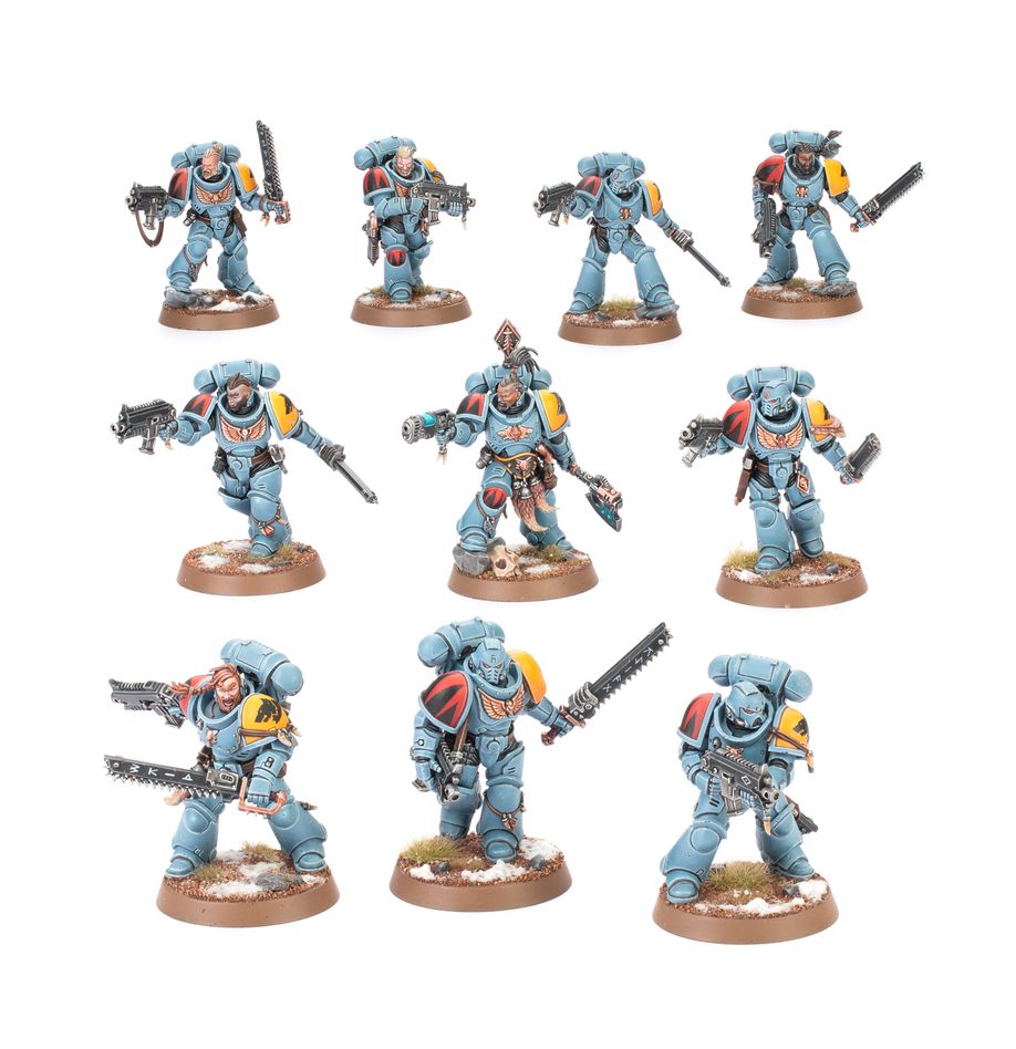 Space Wolves - Grey Hunters (53-21)
