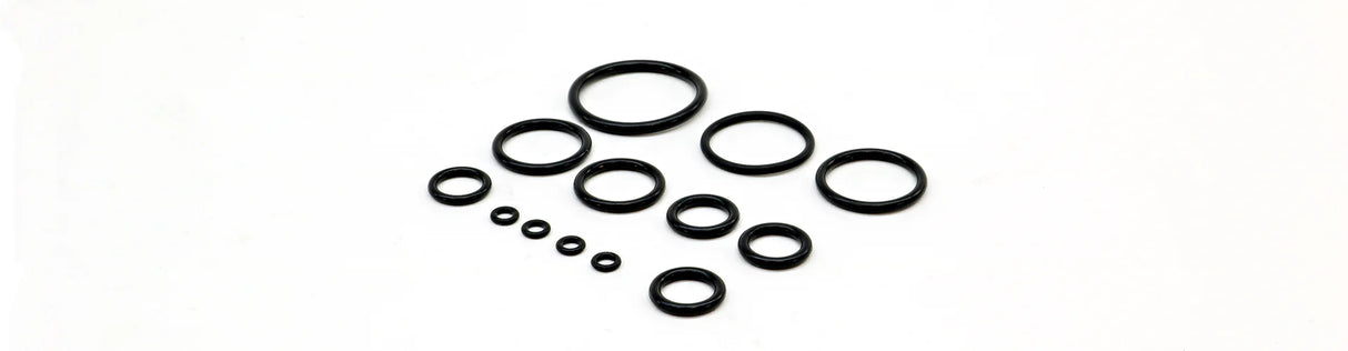 Polarstar Fusion Engine O-Ring Kit