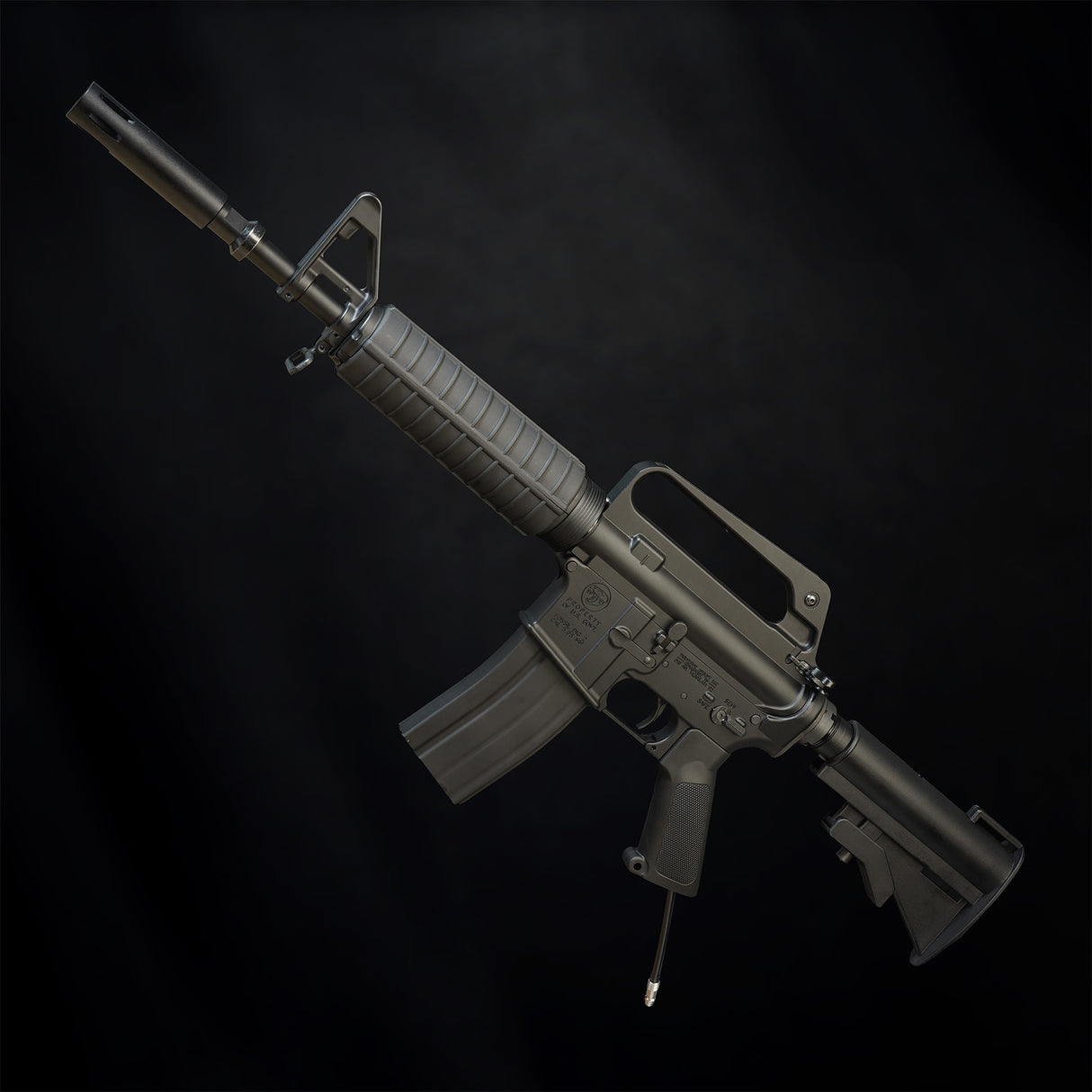 MTW Fossil Collection: Dig 2 (XM177)