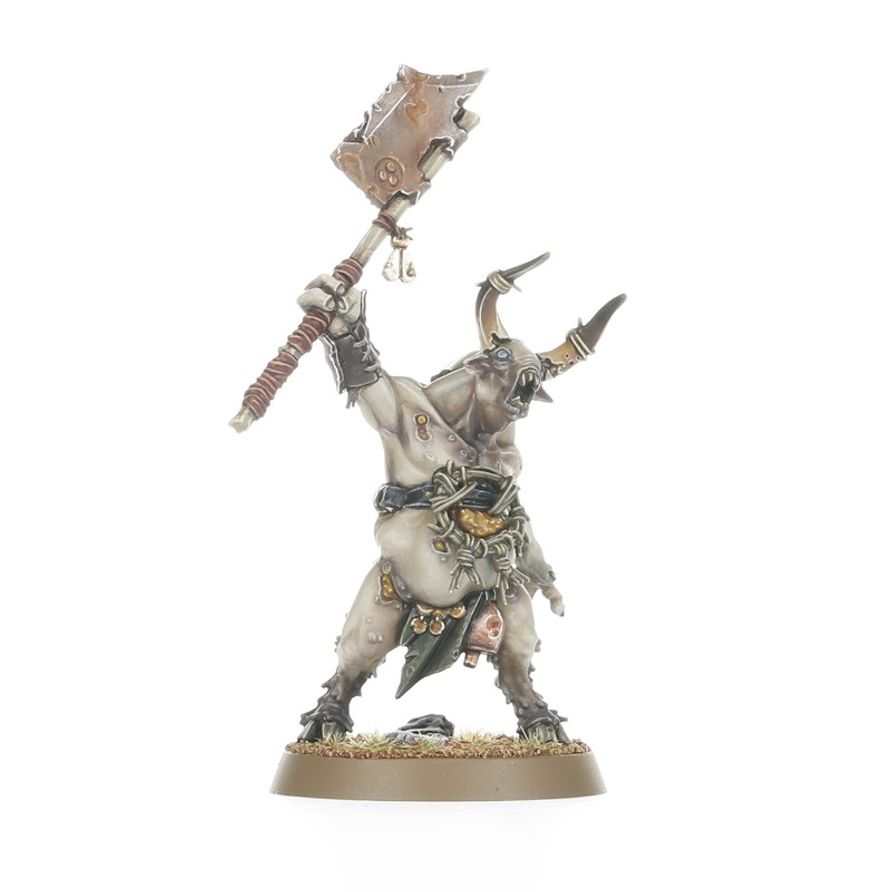 Maggotkin of Nurgle - Pestigors (83-116)