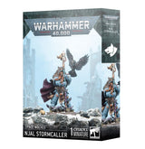 Njal Stormcaller - Space Wolves (53-35)