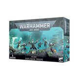 Aeldari- Harlequin Troupe (58-10)