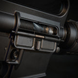 MTW Fossil Collection: Dig 2 (XM177)