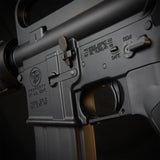 MTW Fossil Collection: Dig 2 (XM177)