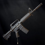 MTW Fossil Collection: Dig 2 (XM177)