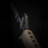 MTW Fossil Collection: Dig 2 (XM177)