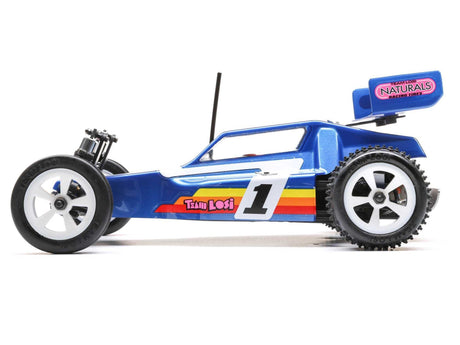 Losi 1/16 Mini JRX2 Brushed 2WD Buggy RTR - Blue-5