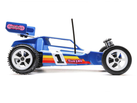 Losi 1/16 Mini JRX2 Brushed 2WD Buggy RTR - Blue-6