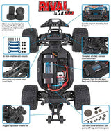 Team Associated Rival MT10 RTR Truck Brushed with 2S Battery and Charger-11