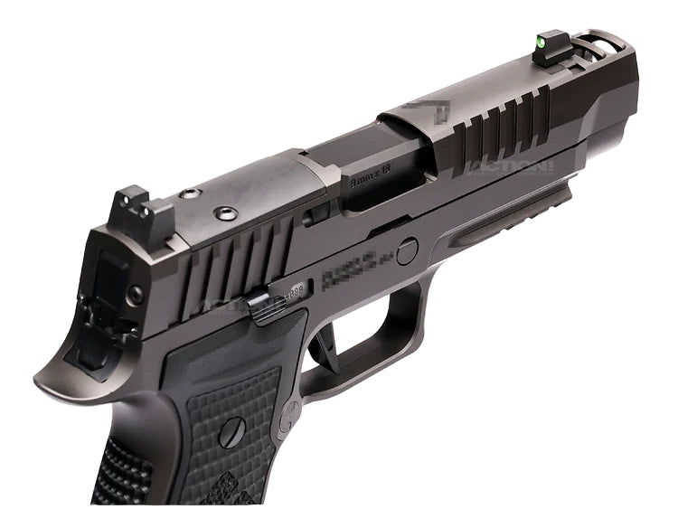 Para Bellum P320 AXG Legion